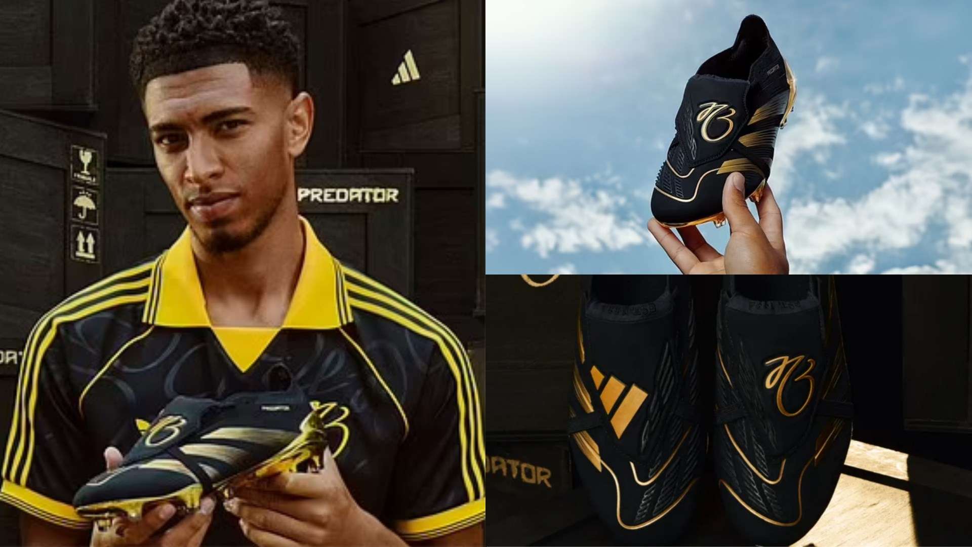 而坎特则以 而坎特则以